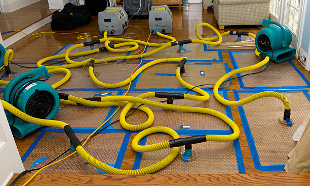 Professional Crawl Space Water Removal technician working in Thorp, WI